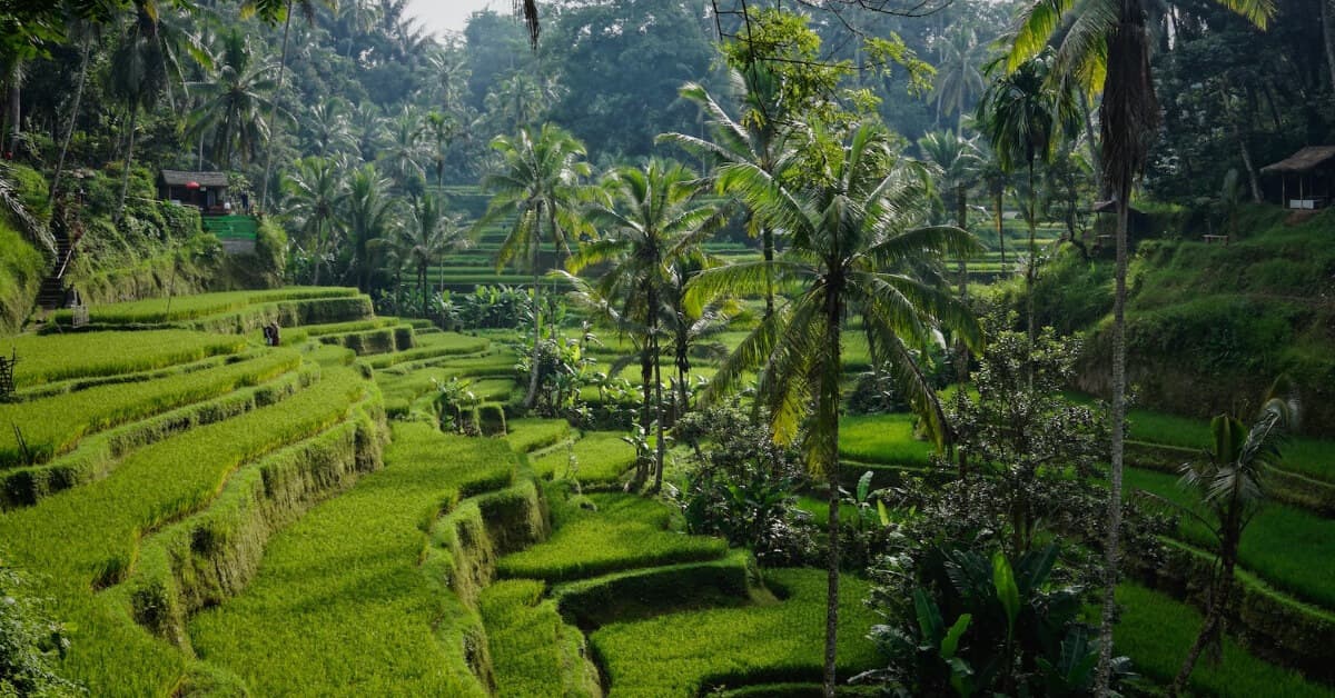 5-keunikan-pulau-bali-yang-wajib-kamu-ketahui