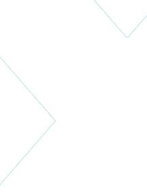 XL HOME Biz Vector